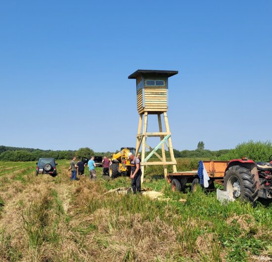 535516075_766642572753224_3009026811599857526_n