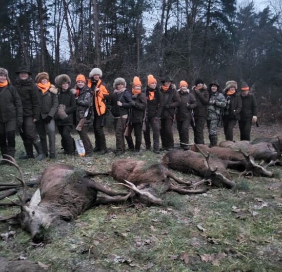 WhatsApp Image 2026-03-12 at 15.19.21