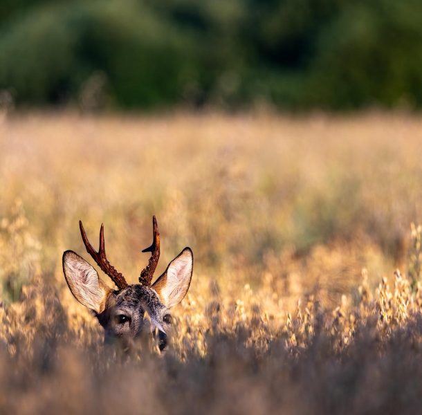 WhatsApp Image 2026-03-04 at 11.36.57